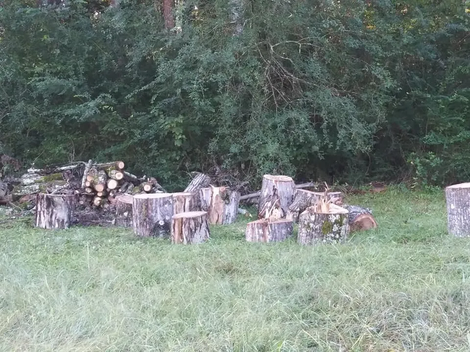 Custom outdoor landscaping in Rome, GA by Independent Tree Service