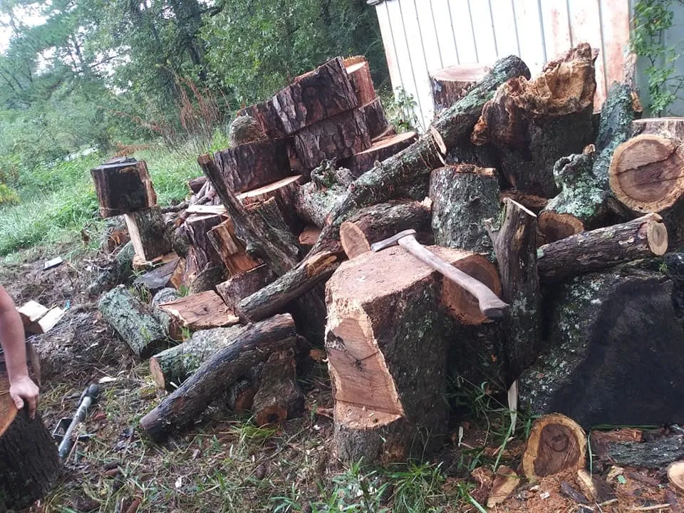 Trusted residential landscaping in Rome, GA by Independent Tree Service