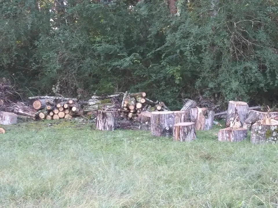 Expert landscaping services for outdoor upgrades across Rome, GA - Independent Tree Service