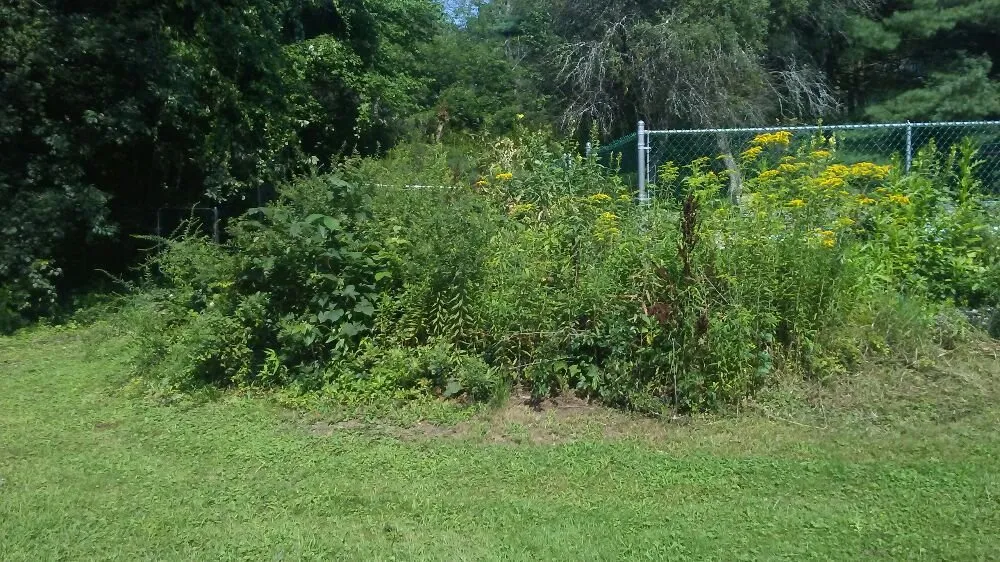 Professional lawn care service in Marlborough, MA - Indian Hill Snow & Property Care