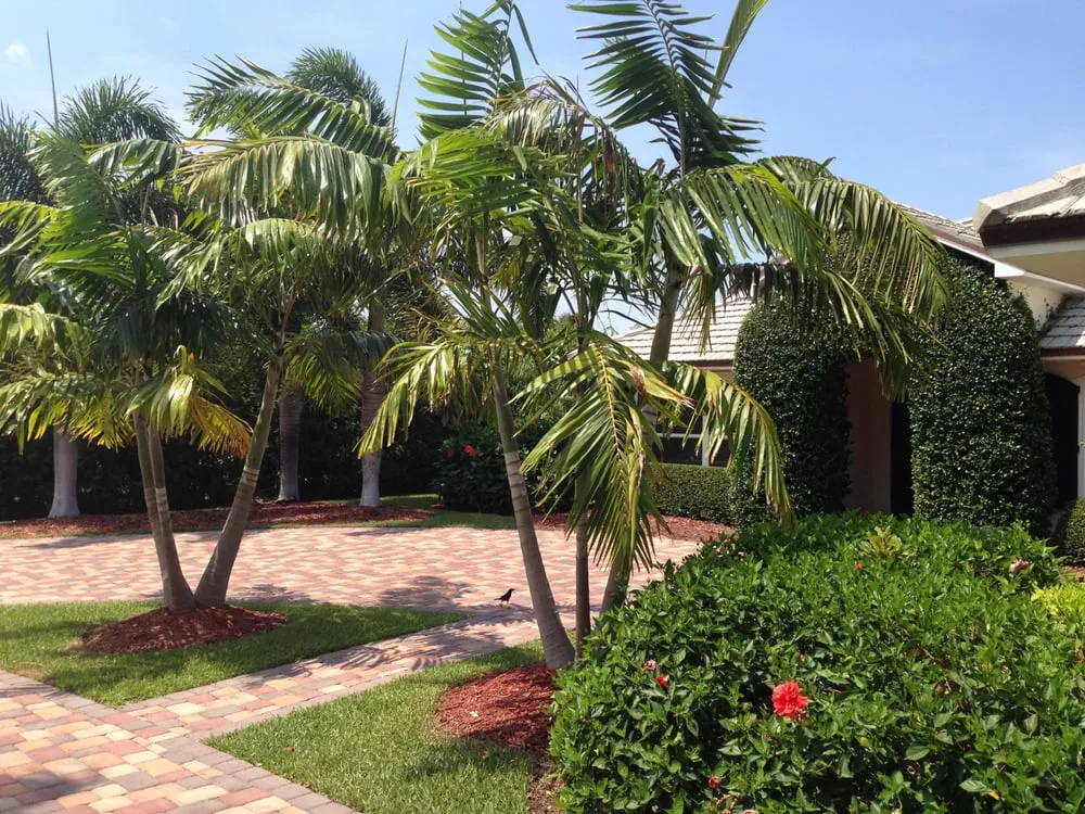 Trusted landscape installation for outdoor upgrades across Vero Beach, FL - Indian River Landscapes