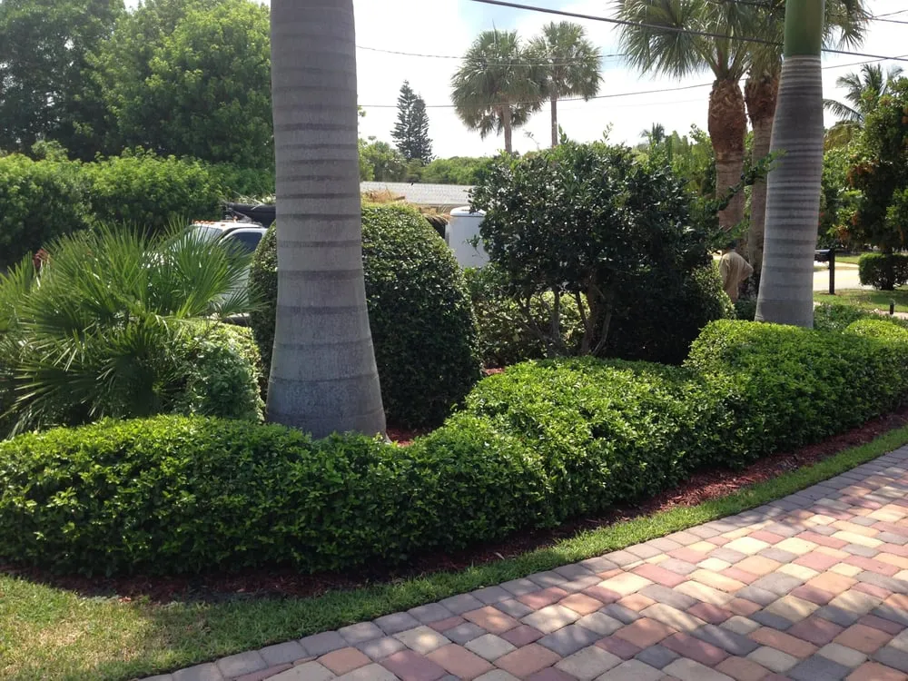Top-rated lawn mowing service in Vero Beach, FL by Indian River Landscapes