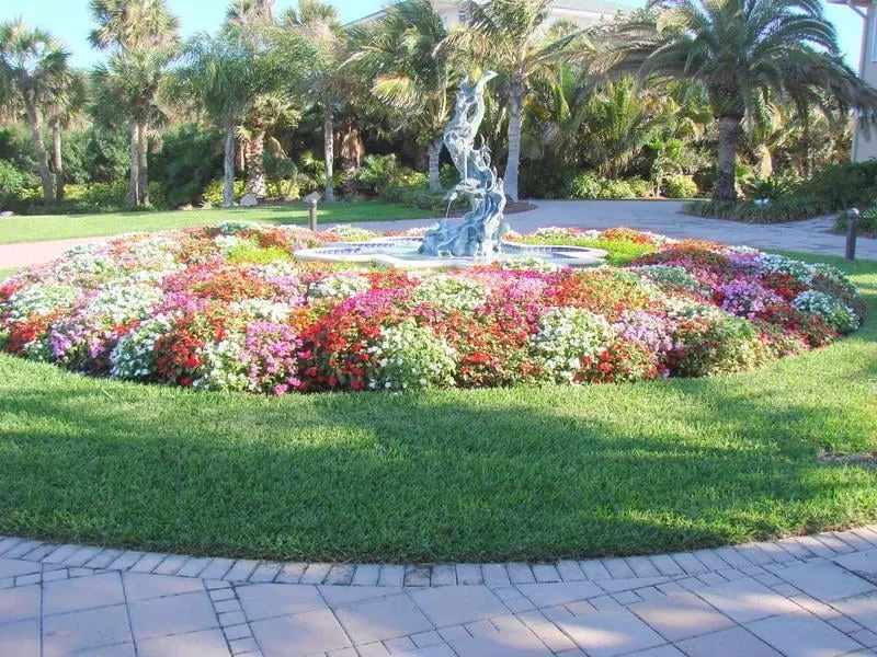 Trusted landscape installation experts serving Vero Beach, FL - Indian River Landscapes