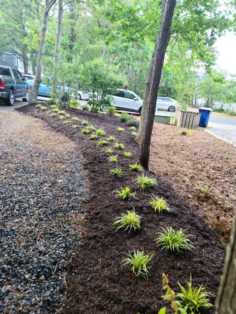 Local landscape installation in Frankford, DE - Indian River Lawns