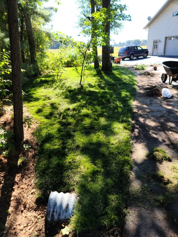 Top-rated landscape installation for homes across Frankford, DE - Indian River Lawns