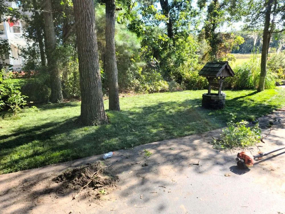 Professional outdoor landscaping in Frankford, DE by Indian River Lawns