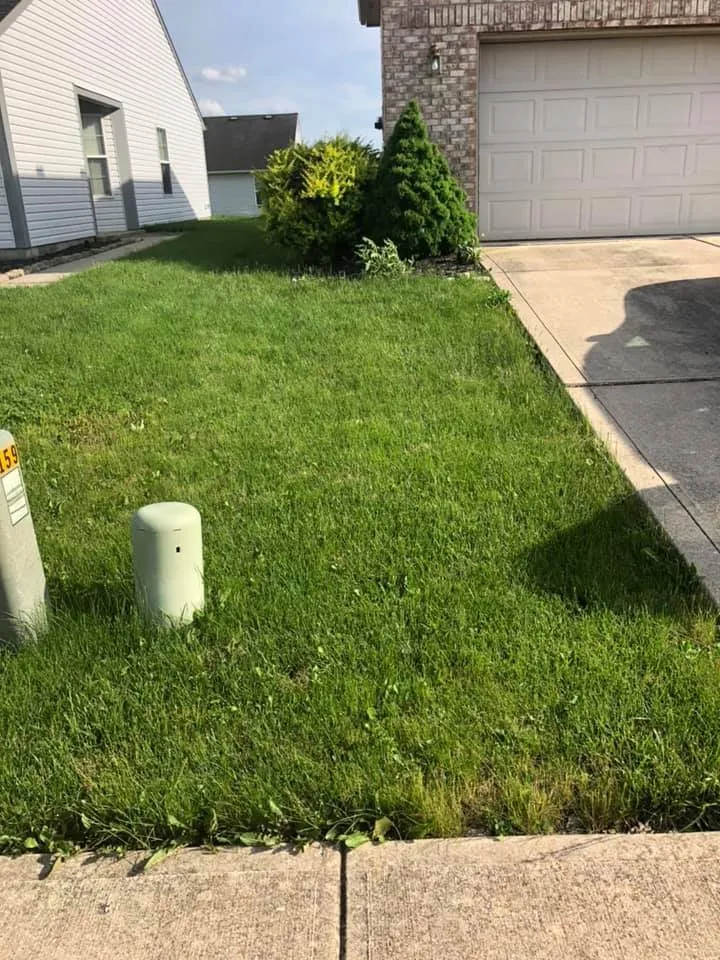 Reliable outdoor landscaping for residential properties in Indianapolis, IN by Indiana Lawn Medix