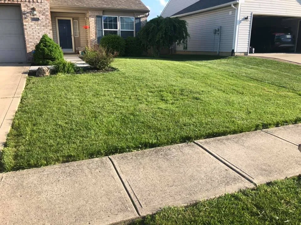Expert yard cleanup service for year-round maintenance across Indianapolis, IN - Indiana Lawn Medix