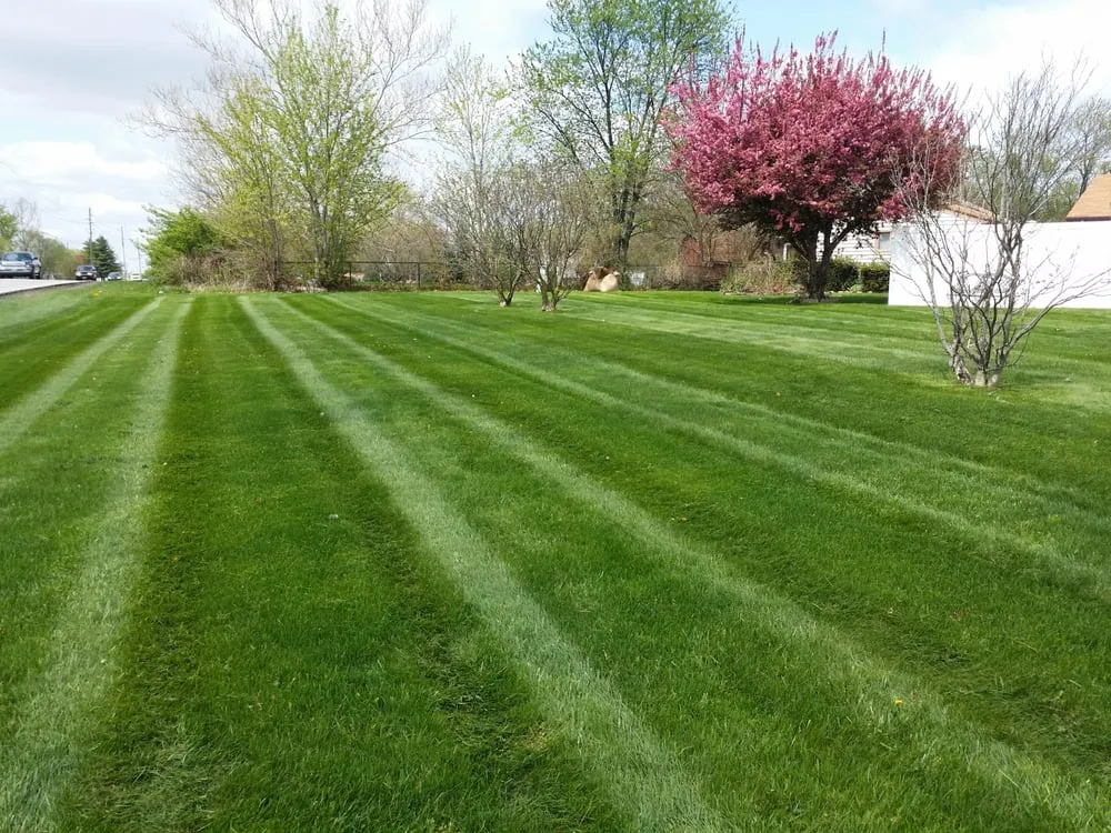 Reliable yard maintenance in Indianapolis, IN - Indianapolis Lawn Care Co