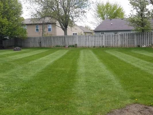 Indianapolis Lawn Care Co Logo