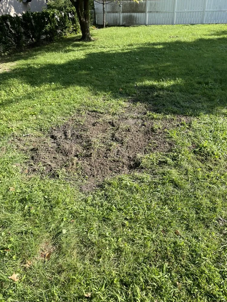 Custom garden landscaping for year-round maintenance across Bellmawr, NJ - Indigo G Lawn Care