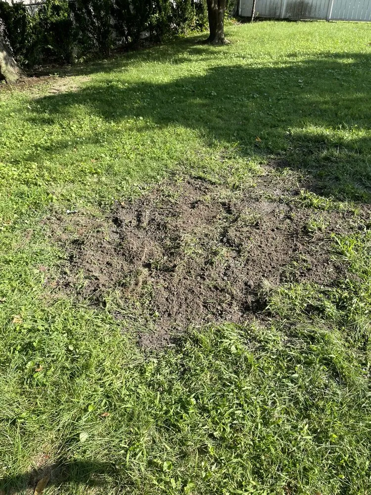 Expert yard cleanup service in Bellmawr, NJ by Indigo G Lawn Care