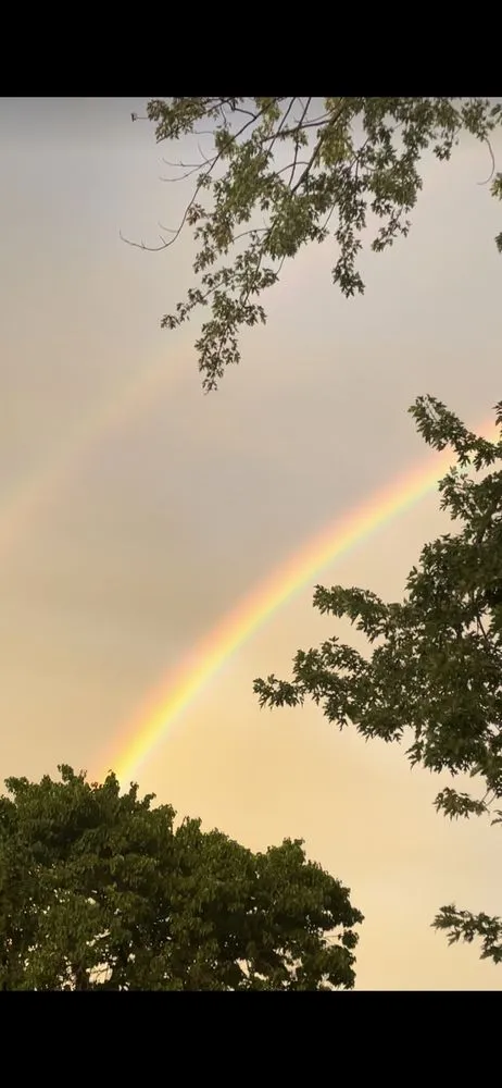 Affordable landscape installation in Bellmawr, NJ - Indigo G Lawn Care