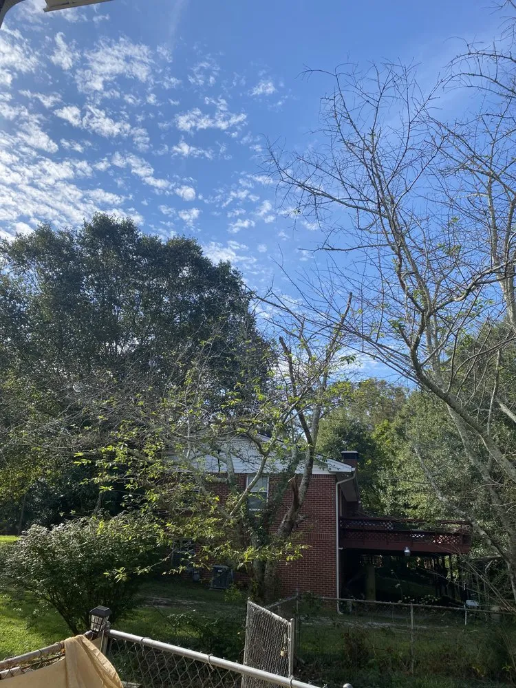 Trusted landscaping services in Powder Springs, GA - Indigo Tree Services