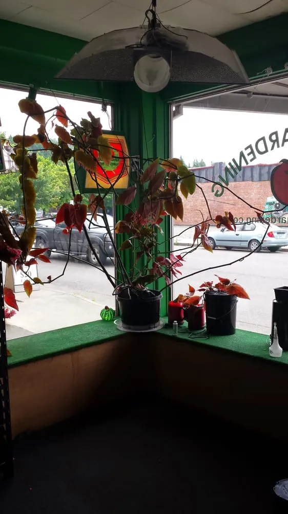 Reliable lawn care service in Chehalis, WA - Indoor Gardening