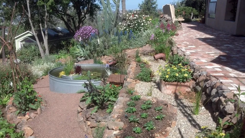 Top-rated landscape design experts serving Richmond, CA - Indra Designs