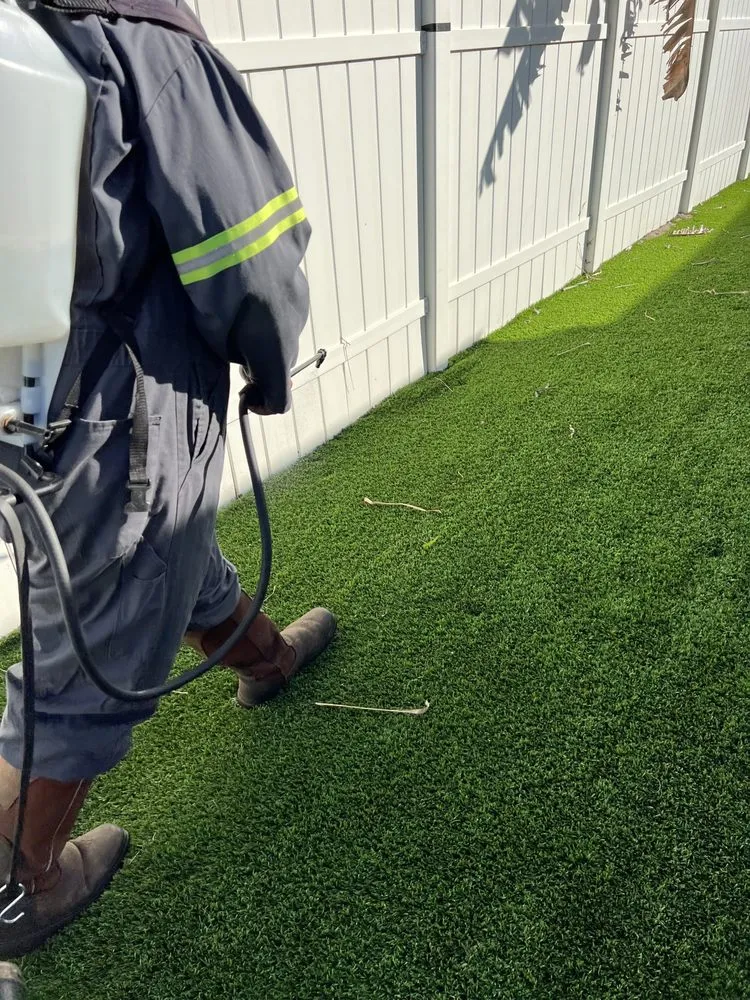 Reliable yard cleanup service with custom design in Jacksonville, FL by Industrial Cleaning & Sanitizing