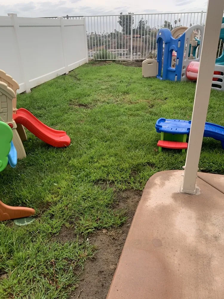 Trusted yard cleanup service for residential properties across Escondido, CA - Industrial Landscapes