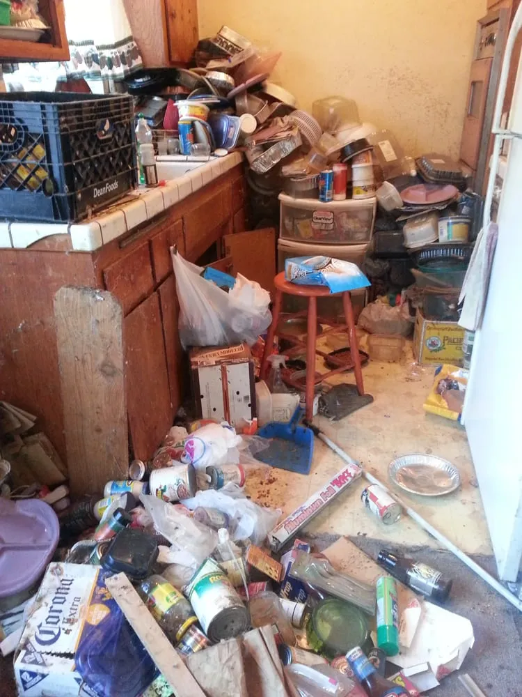 Affordable residential landscaping in Magalia, CA by Industrial Revolutions Service