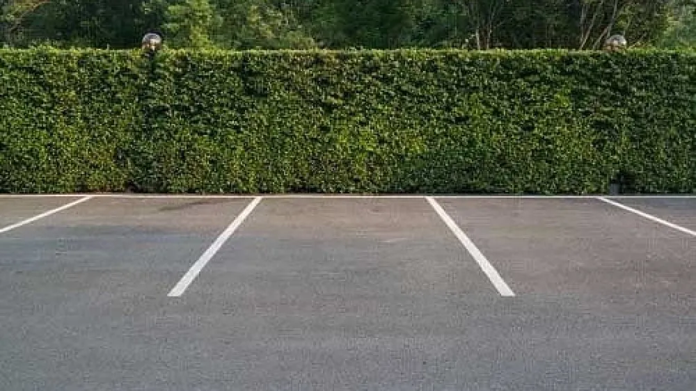 Reliable outdoor landscaping for outdoor upgrades in Fayetteville, NC by Industrial Vac