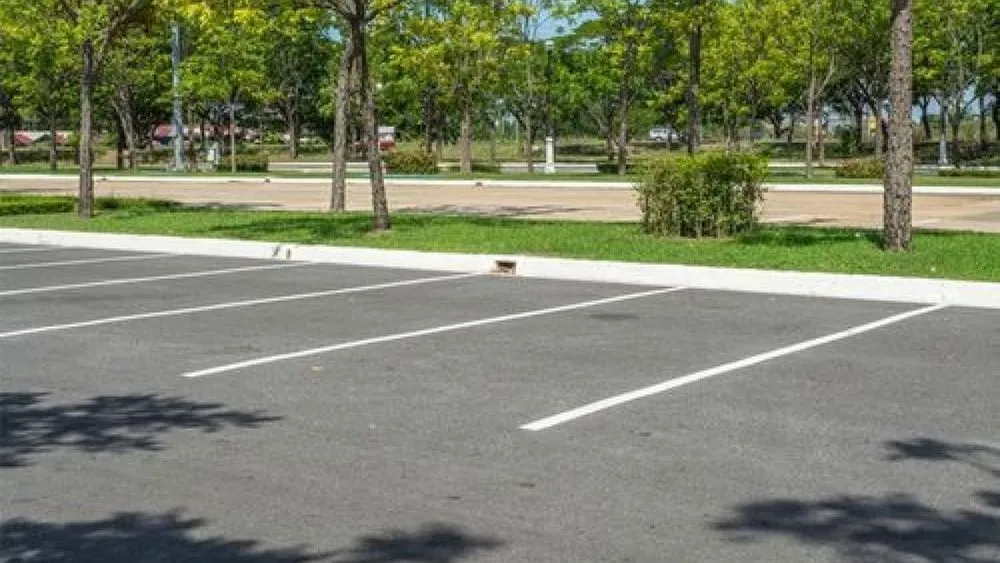 Trusted yard cleanup service in Fayetteville, NC by Industrial Vac