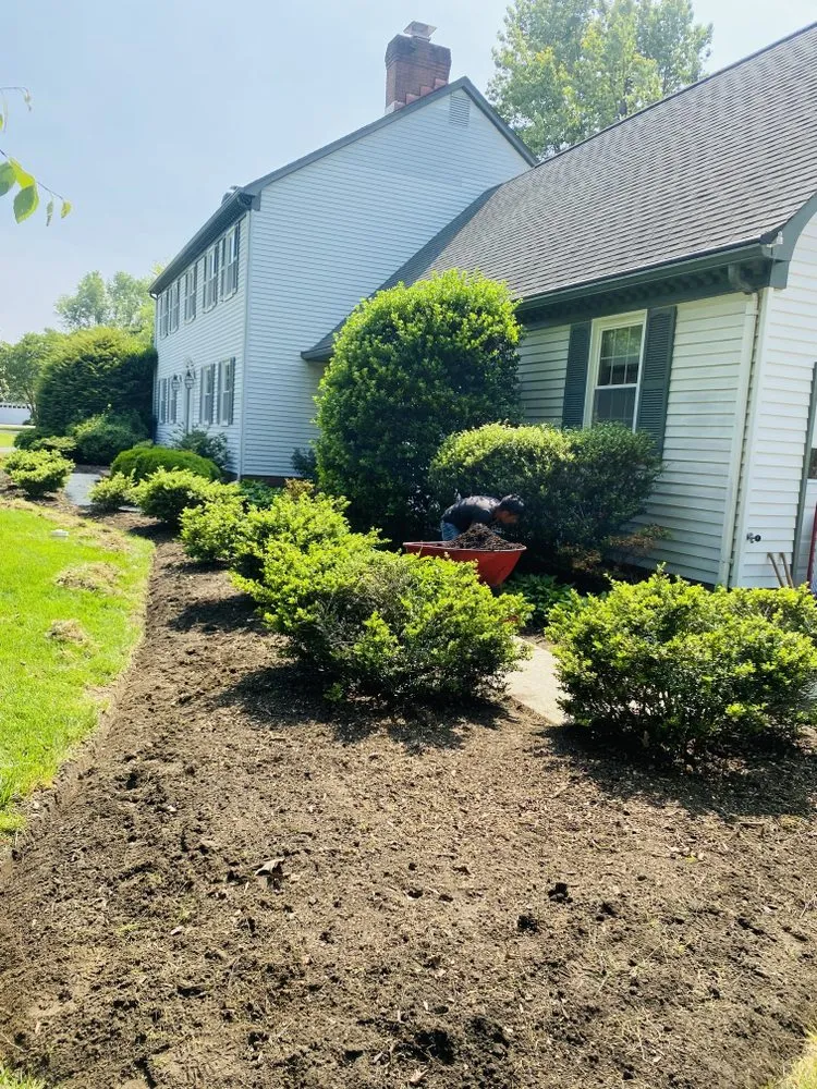 Top-rated yard maintenance for homes across Culpeper, VA - Industry Tree Service