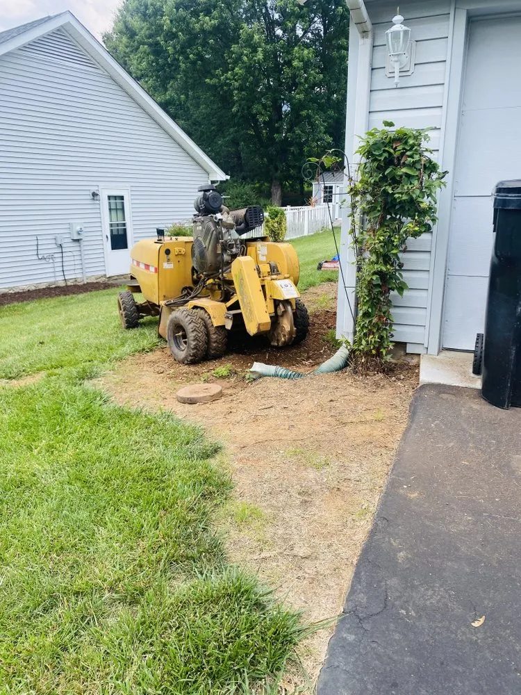 Affordable yard cleanup service experts serving Culpeper, VA - Industry Tree Service