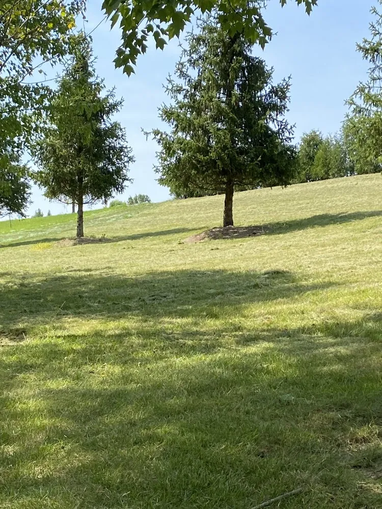 Affordable outdoor landscaping in Indianapolis, IN by Indy Area Snow Removal and Landscaping