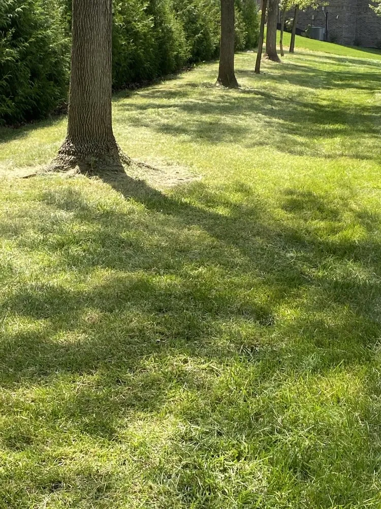 Custom landscape design in Indianapolis, IN by Indy Area Snow Removal and Landscaping