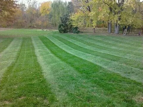 Professional residential landscaping in Indianapolis, IN - Indy Cuts Lawn & Landscape