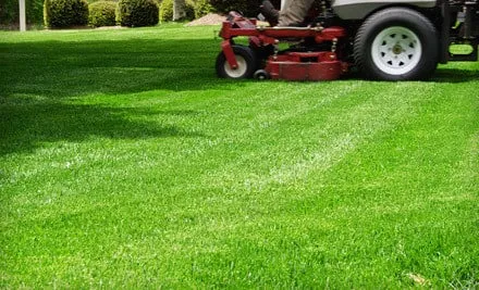 Professional garden landscaping experts serving Indianapolis, IN - Indy Cuts Lawn & Landscape