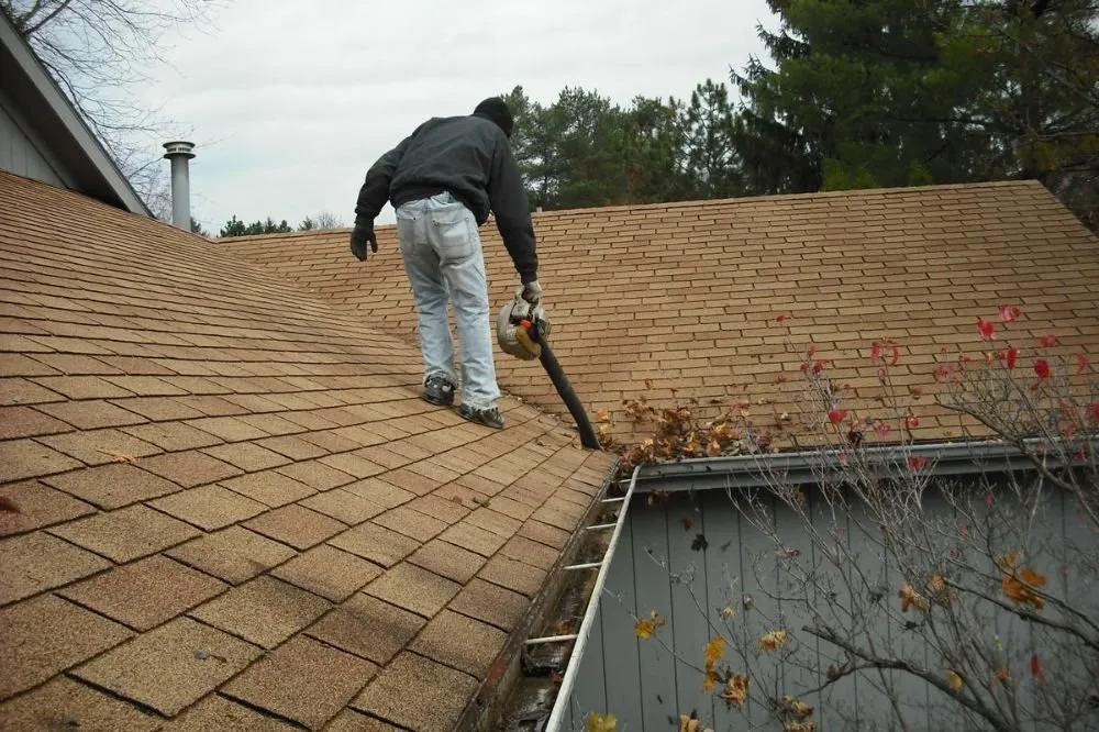 Reliable landscaping services in Indianapolis, IN - Indy Gutter Cleaning