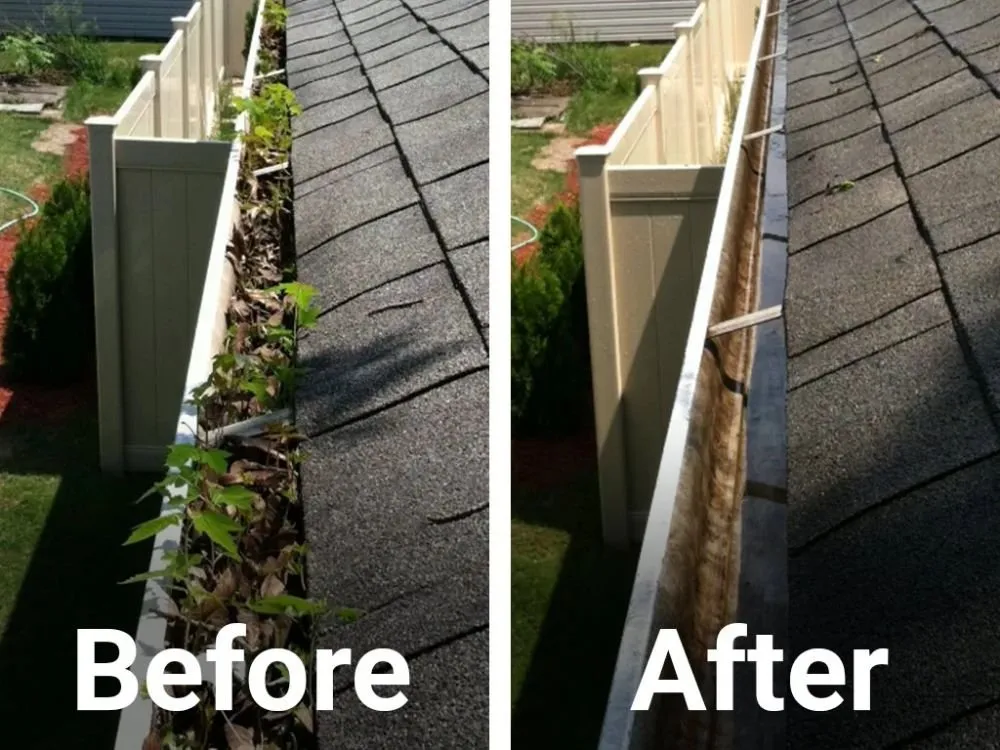 Expert yard maintenance near you across Indianapolis, IN - Indy Gutter Cleaning