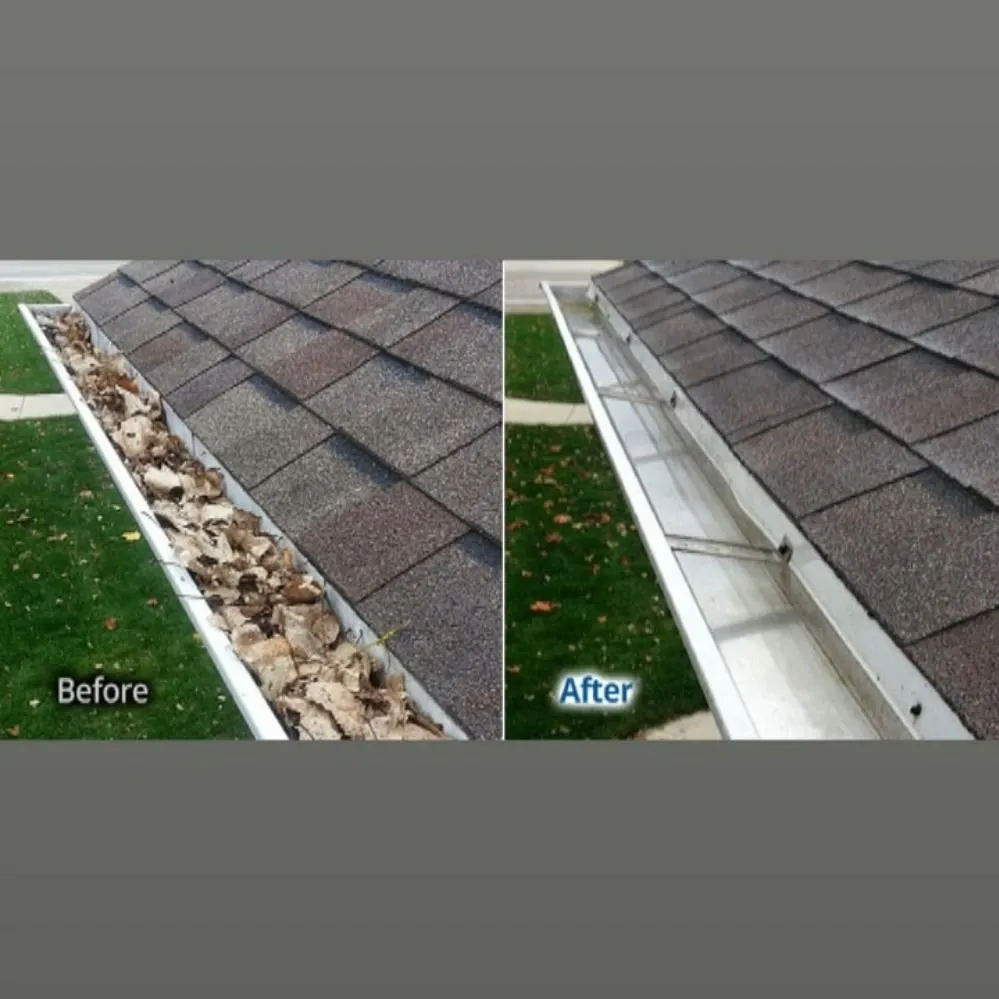 Professional yard cleanup service in Indianapolis, IN - Indy Gutter Cleaning