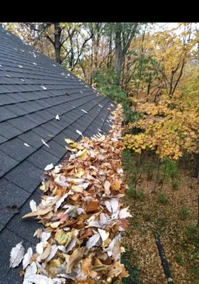 Indy Gutter Cleaning Logo