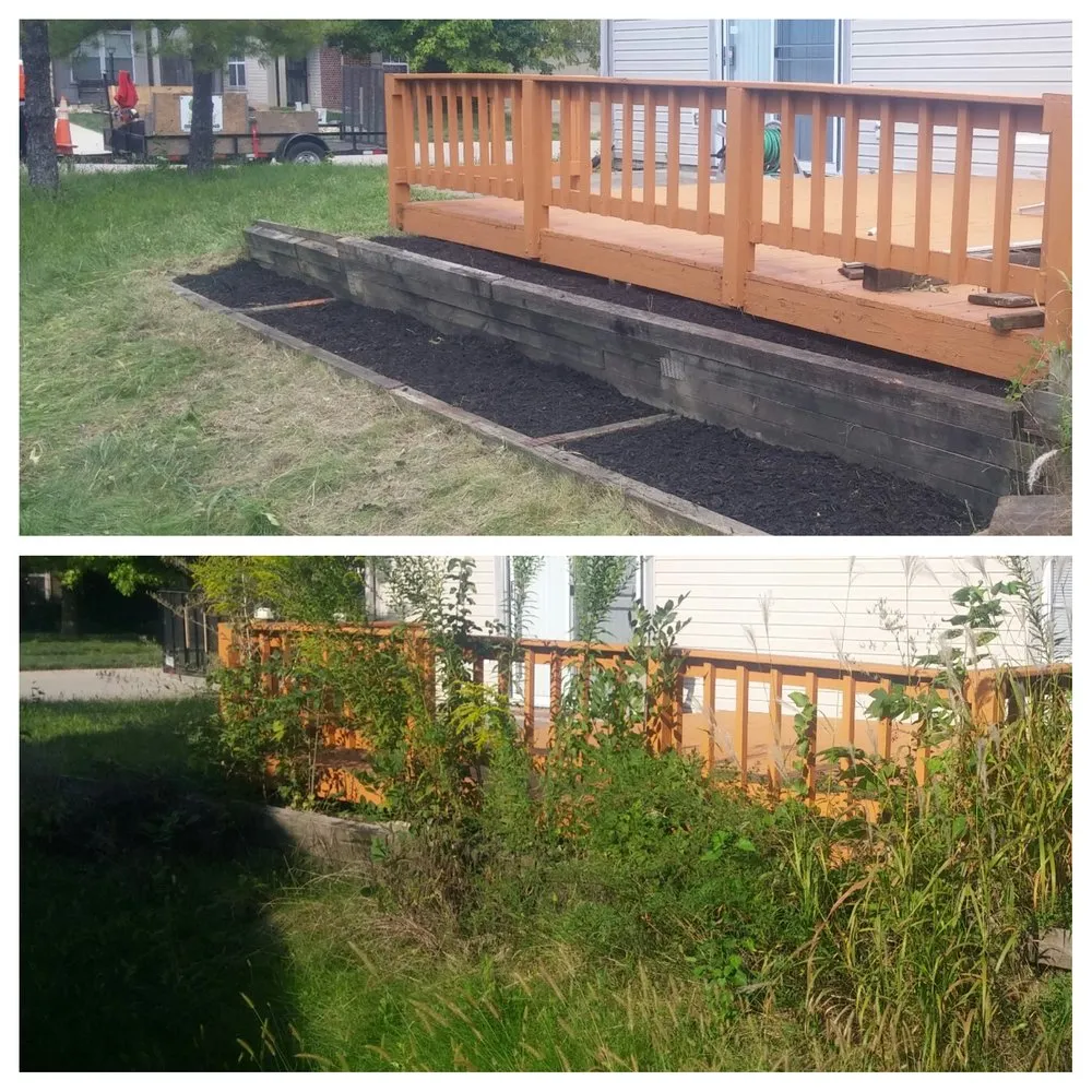 Affordable outdoor landscaping near you in Indianapolis, IN by Indy Lawn Maintenance