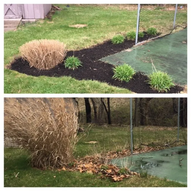 Custom lawn mowing service in Indianapolis, IN - Indy Lawn Maintenance