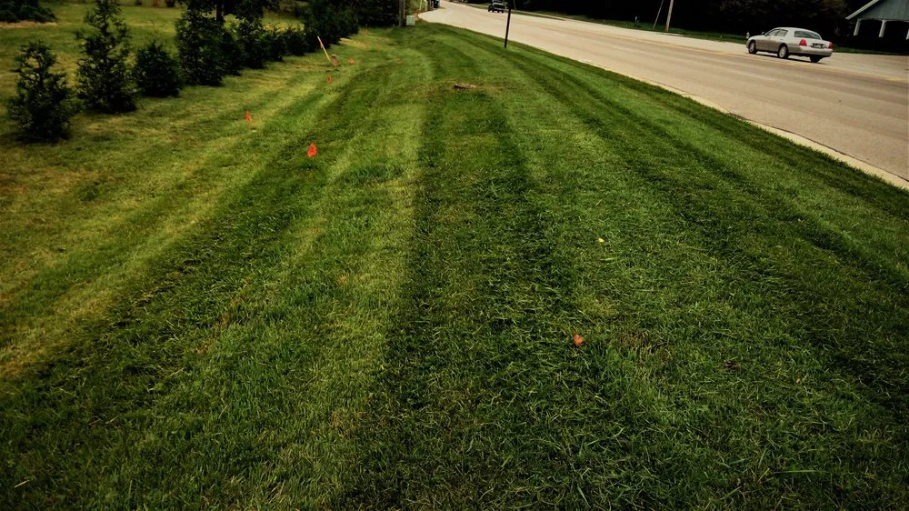 Trusted yard cleanup service in Indianapolis, IN by Indy Lawn Mowing