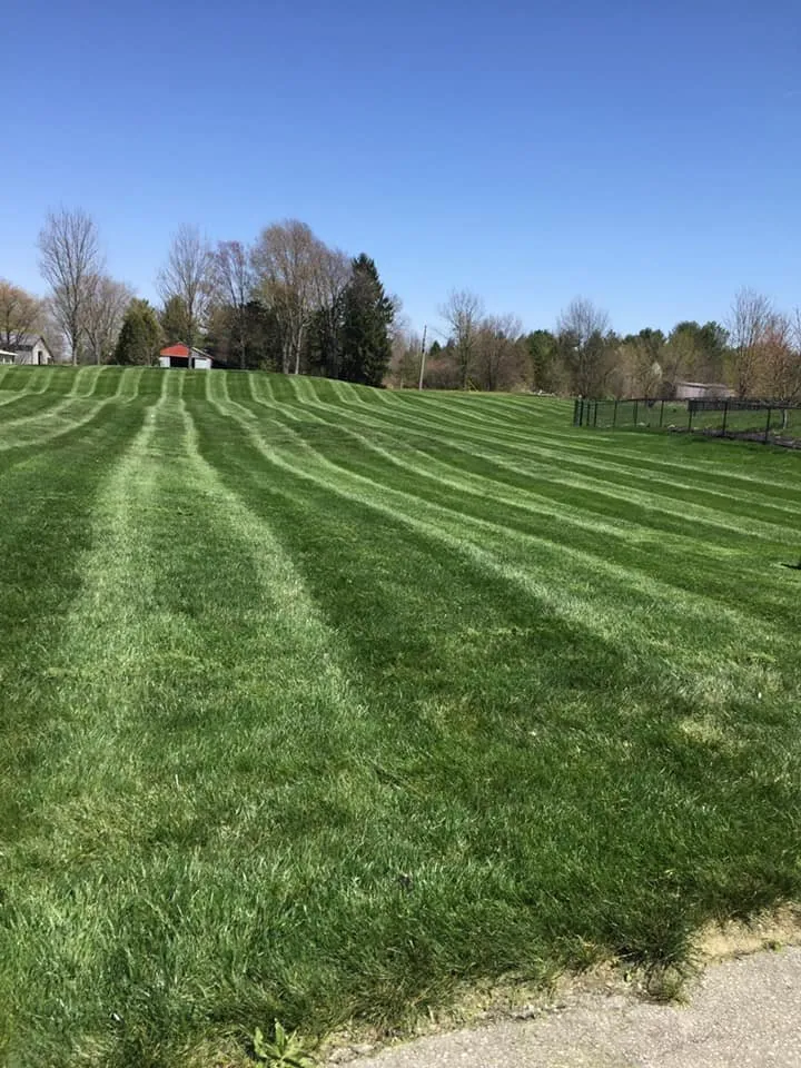 Local yard maintenance for residential properties in Indianapolis, IN by Indy Lawn Mowing