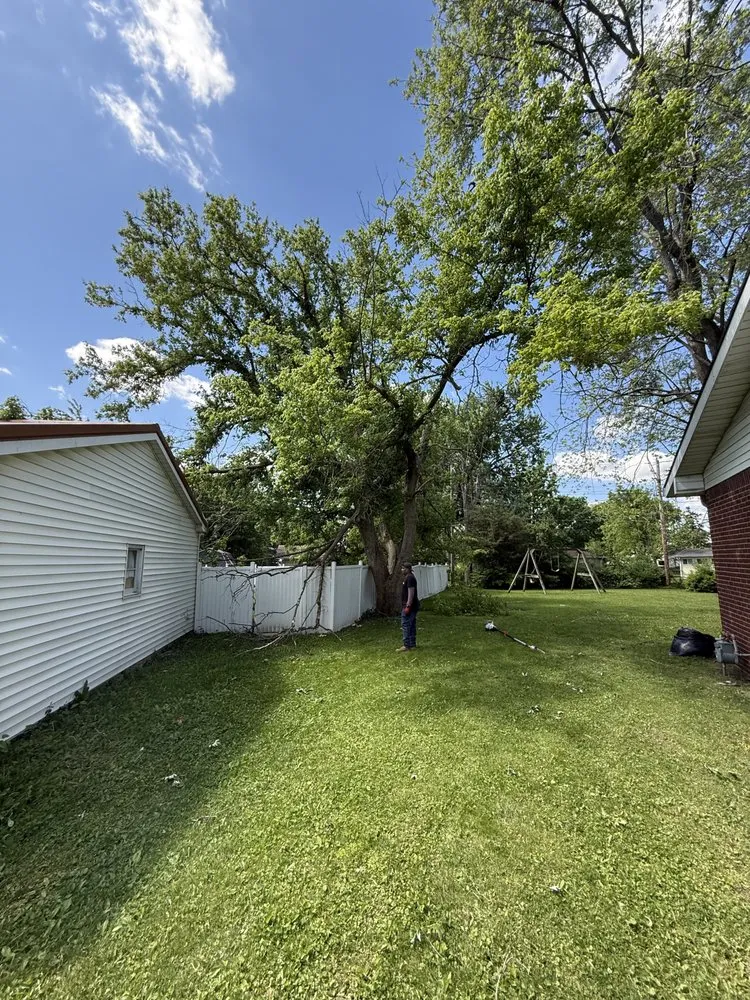 Trusted lawn mowing service experts serving Indianapolis, IN - Indy Master Tree Services