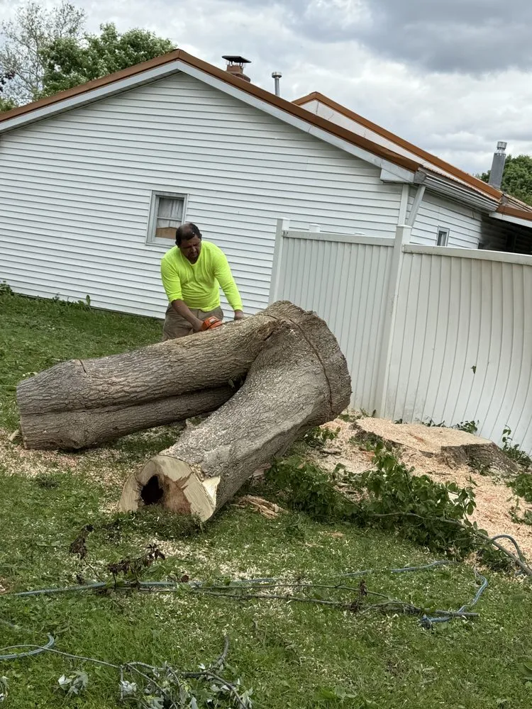 Custom landscaping services experts serving Indianapolis, IN - Indy Master Tree Services