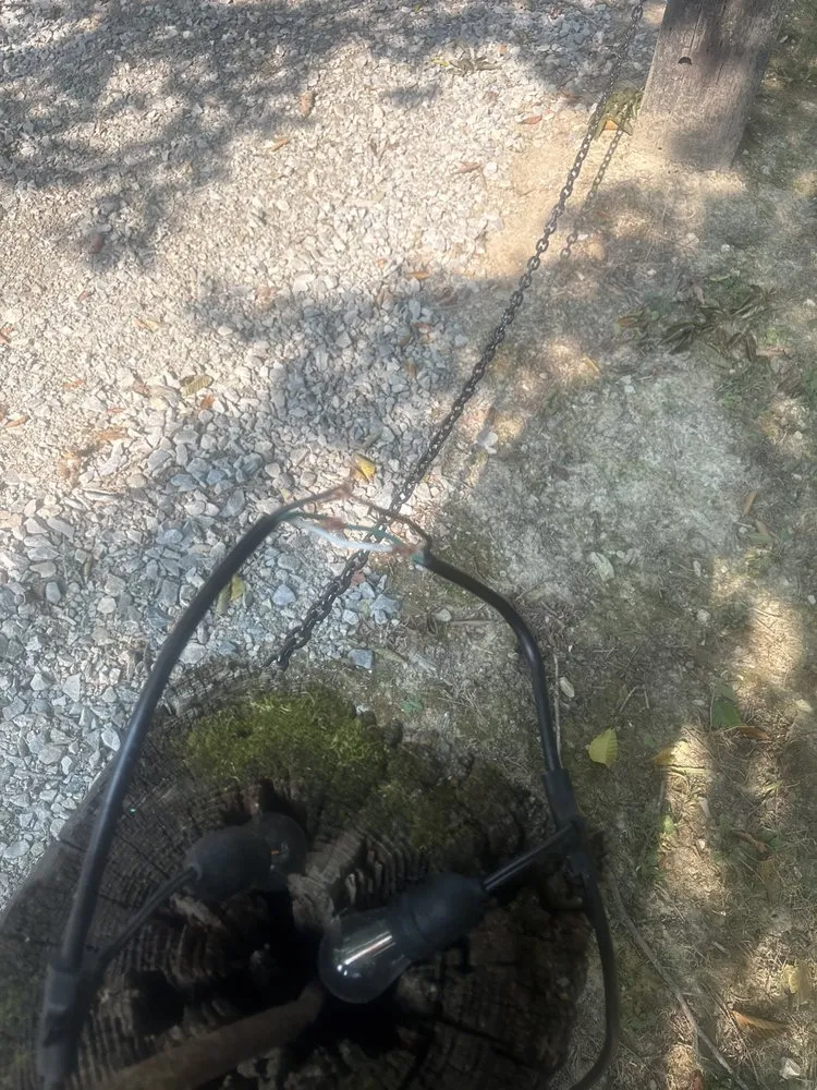 Professional yard maintenance in Indianapolis, IN by Indy Master Tree Services