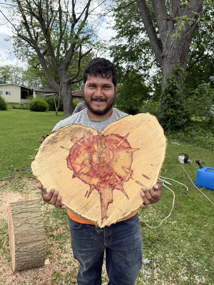 Affordable outdoor landscaping for year-round maintenance in Indianapolis, IN by Indy Master Tree Services