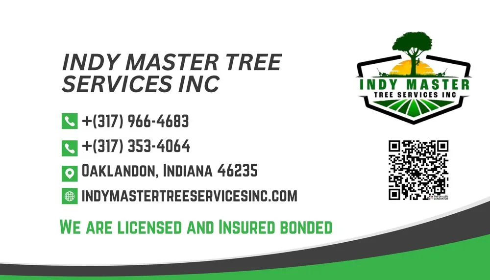 Local yard cleanup service experts serving Indianapolis, IN - Indy Master Tree Services