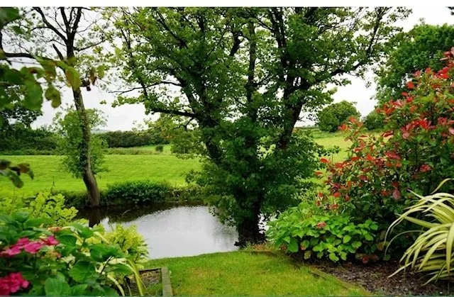 Expert garden landscaping experts serving Indianapolis, IN - Indy Tree & Landscape