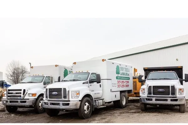 Indy Tree & Landscape Logo