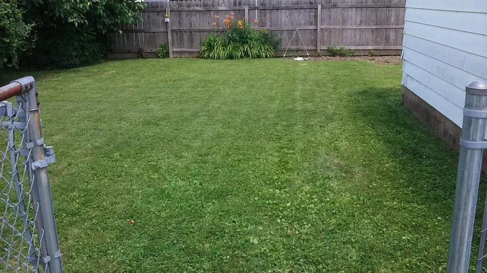 Reliable outdoor landscaping experts serving Indianapolis, IN - IndyLawnService.com