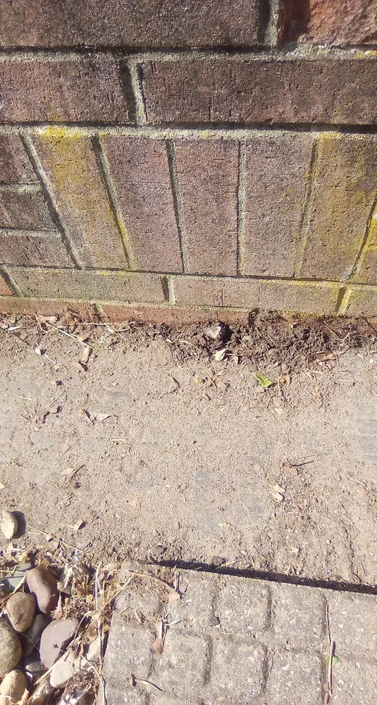 Professional lawn care service experts serving Butler, IN - Infamous Landscaping And Lawncare