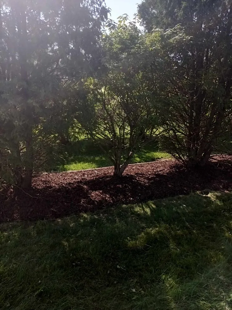 Custom garden landscaping in Butler, IN - Infamous Landscaping And Lawncare