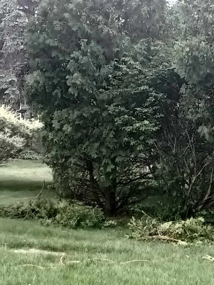 Professional yard maintenance in Butler, IN - Infamous Landscaping And Lawncare